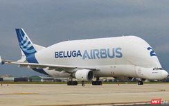 “Cá voi bay” khổng lồ của Airbus