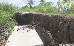 Nhiều tuyến đường giao thông ở Cà Mau bị sụt lún, cuộc sống người dân đảo lộn
