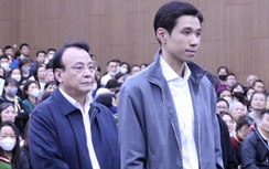 Con trai bị cáo Đỗ Anh Dũng khai gì về vụ án Tân Hoàng Minh?