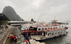 Quảng Ninh: Cả trăm tàu, thuyền loay hoay khi bị chuyển bến mới
