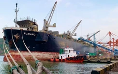 Cảng Quy Nhơn đặt mục tiêu trở thành doanh nghiệp cung cấp dịch vụ cảng biển hàng đầu