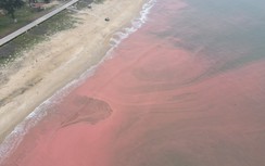 Kiểm tra hiện tượng nước biển chuyển màu đỏ kéo dài 3km ở Hà Tĩnh