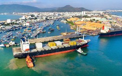 Cảng Quy Nhơn đặt mục tiêu lãi hơn 110 tỷ đồng năm 2024