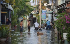 Đang hạn hán, người dân ở Tiền Giang sống chung với ngập