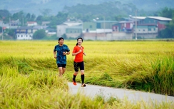 Giải THACO Marathon vì ATGT - Điện Biên Phủ 2024: Hơn cả một giải chạy