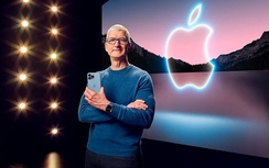 Chi phí cho chuyên cơ và vệ sĩ cho CEO Apple Tim Cook lớn đến mức nào?