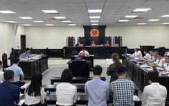 Vụ Vimedimex: Hai cựu cán bộ ở Hà Nội và 9 người khác được đề nghị hưởng án treo
