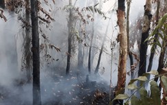 Kịp thời khống chế vụ cháy rừng tràm ở Bạc Liêu