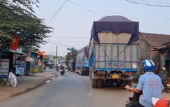 Bình Định: CSGT vào cuộc xử lý xe quá tải lộng hành trên đường tỉnh