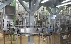 Hợp tác nâng cao năng lực sản xuất xanh, hướng đến phát triển bền vững