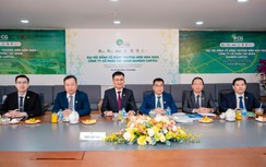 Bamboo Capital có tân chủ tịch, sẽ phát hành cổ phiếu thưởng cho cổ đông