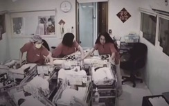 Cảm động nhóm y tá bảo vệ hàng loạt trẻ sơ sinh giữa thảm họa động đất ở Đài Loan