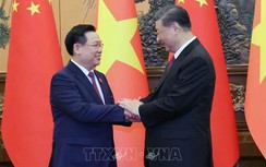 Chủ tịch Quốc hội Vương Đình Huệ hội kiến Tổng Bí thư, Chủ tịch Trung Quốc Tập Cận Bình