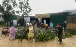 Lâm Đồng: Mưa lớn kèm gió giật mạnh khiến cây đổ, tắc nhiều tuyến đường