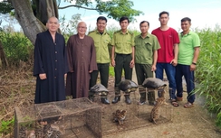 Thả 9 cá thể động vật hoang dã về Vườn quốc gia U Minh Hạ