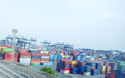Đang xác minh nghi vấn hàng hóa bị mất khi xuất khẩu qua cảng Cát Lái