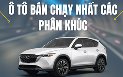 Ô tô bán chạy nhất các phân khúc từ đầu năm 2024