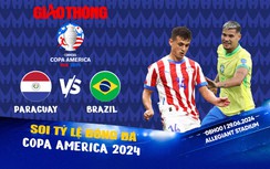 Soi tỷ lệ Paraguay vs Brazil (8h ngày 29/6), bảng D Copa America 2024