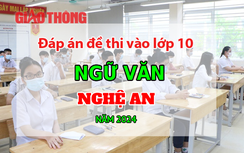 Đáp án đề thi tuyển sinh lớp 10 môn Ngữ văn Nghệ An năm 2024