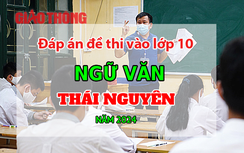 Đáp án đề thi tuyển sinh lớp 10 môn Ngữ văn Thái Nguyên năm 2024