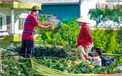 Chợ nổi Cái Răng loay hoay... tự nổi