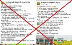 Bán giống lúa giả trên mạng xã hội, 7 đối tượng chiếm đoạt gần 8 tỷ đồng