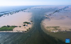 Trung Quốc dồn phương tiện, trực thăng, drone vá hàng trăm mét đê vỡ trên hồ Động Đình
