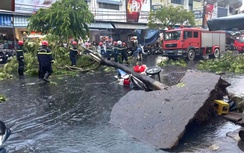 Đà Nẵng: Cây bật gốc trong mưa, một phụ nữ bị thương