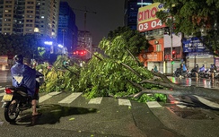 Đường ngập, cây đổ la liệt sau trận mưa lớn ở Hà Nội