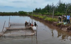 Nam Định: 17/17 hộ dân đồng thuận bàn giao mặt bằng khu vực Cồn Xanh