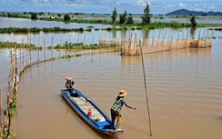 Đến An Giang mùa nước nổi, nếm đặc sản cá linh non trứ danh