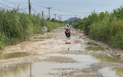 Quảng Ninh: Đường cứu hộ đê nát như ruộng cày vì xe tải trọng lớn