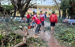 Thanh niên tình nguyện khắp nơi hỗ trợ Hải Phòng khắc phục hậu quả bão số 3