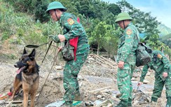 Lào Cai: Sử dụng chó nghiệp vụ tìm kiếm 7 người còn mất tích ở Nậm Tông