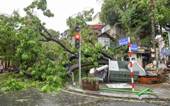 Thủ tướng: Triển khai ngay chính sách miễn, giảm thuế sau bão lũ