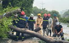 14.000 cây xanh gãy đổ, Hà Nội xuyên đêm dọn dẹp thông đường