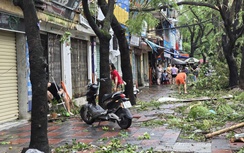 Tan hoang sau bão, Hải Phòng tập trung khôi phục xong toàn bộ giao thông vào ngày 9/9