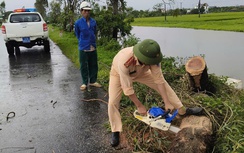 Thái Bình, Nam Định tập trung thông đường các tuyến chính sau bão