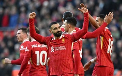 Nhận định, soi tỷ lệ PSV vs Liverpool (3h ngày 30/1), Champions League 2024-2025