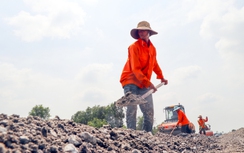 Hối hả trên công trường Lộ Tẻ - Rạch Sỏi những ngày cuối năm