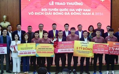 Choáng với tiền thưởng của tuyển Việt Nam sau chức vô địch AFF Cup 2024