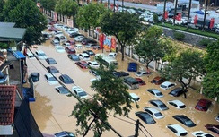 Thái Nguyên: Các hãng ô tô xoay xở xử lý hàng nghìn xe ngập nước sau lũ