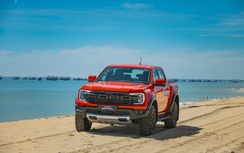 Những mẫu xe Ford nào đang "đắt khách"?