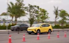 VinFast Limo Green là xe 7 chỗ bán chạy nhất tháng 9