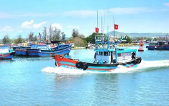 Thuyền trưởng ở Quảng Ngãi bị phạt gần 700 triệu đồng do 8 vi phạm