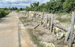 Quảng Ninh nâng cấp hệ thống đê điều, ứng phó thiên tai