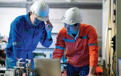 Tuyển chọn thực tập sinh đi Nhật Bản không giới hạn chỉ tiêu