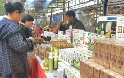 Hà Nội đưa hơn 500 sản phẩm OCOP, làng nghề, nông sản thực phẩm an toàn đến chung cư