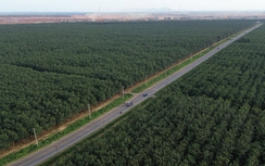 Hai dự án công nghệ cận kề sân bay của Đồng Nai đang được tăng tốc triển khai