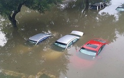 Ô tô ngập nước giá rẻ, có nên mua?